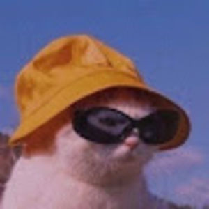 Meet your Posher, Lillian